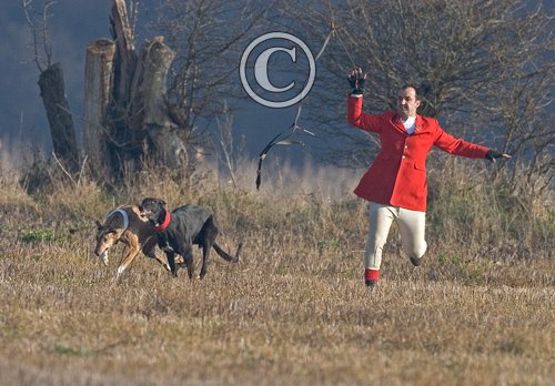Hare Coursing  The Slipper